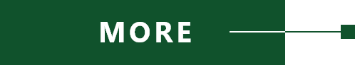 MORE